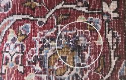 Carpet Defects 2-WikiRug.jpg