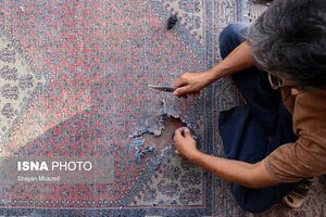 Qazvin Carpet 1-Shayan Moazed-WikiRug.jpg