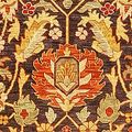 Agra-Rugs-Rugman-Collection.jpg